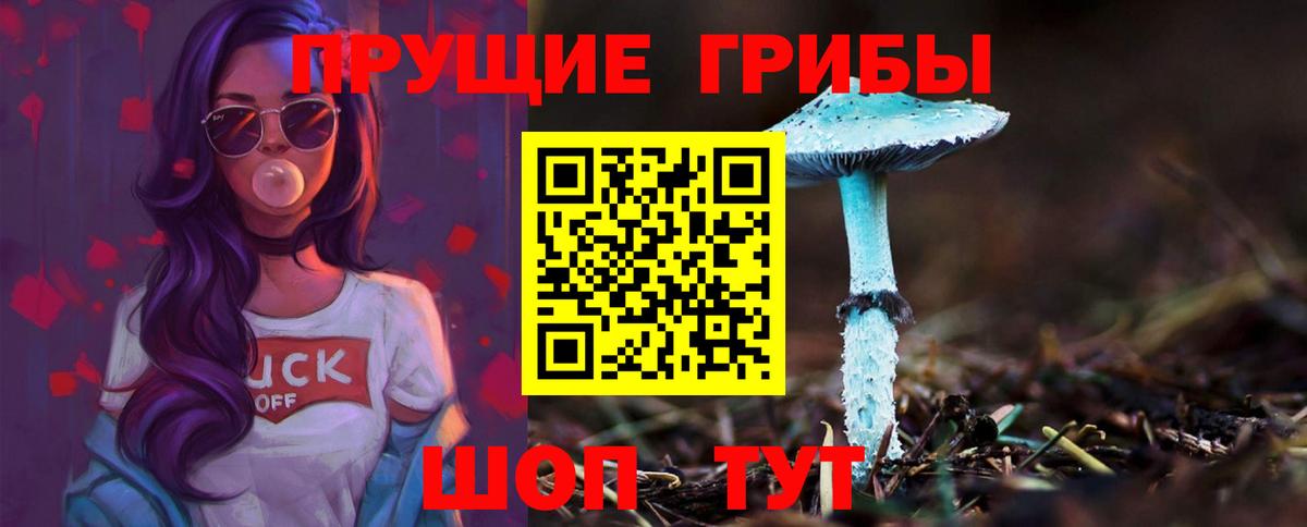 Псилоцибиновые грибы прущие грибы  Вход с VPN  Галлюциногенные грибы прущие грибы  Саров 